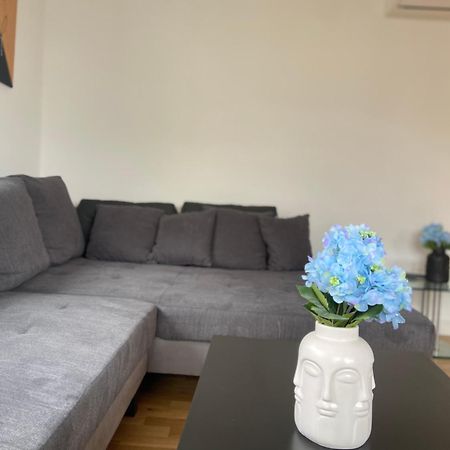 Luxury Apartment With Air Conditioning & Jaccuzzi Near Frankfurt Wiesbaden Hofheim am Taunus Kültér fotó