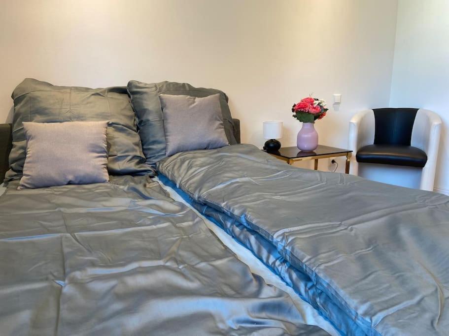 Luxury Apartment With Air Conditioning & Jaccuzzi Near Frankfurt Wiesbaden Hofheim am Taunus Kültér fotó
